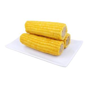 2025东北头茬玉米新鲜黄糯玉米粘黏甜糯非转基因玉米棒真空装大棒