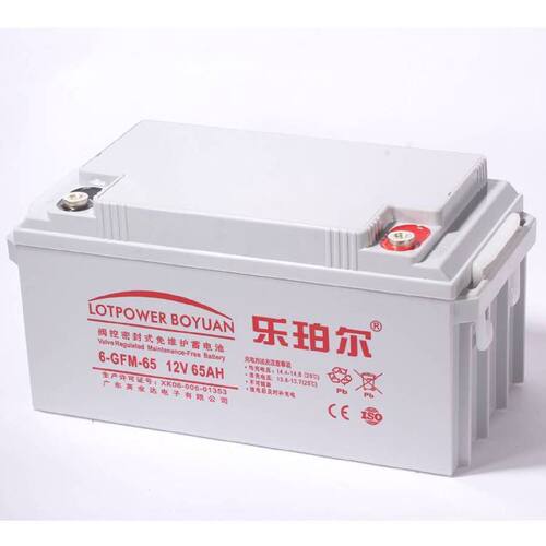 乐珀尔蓄电池6GFM6512V65AH消防照明UPS电源配套EPS直流屏