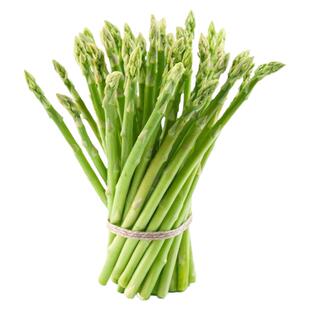芦笋菜种子四季京绿芦3号京紫芦2号阳台种植种籽蔬菜种孑大全