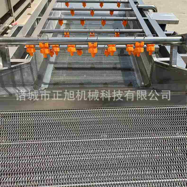 商用椰子洗果机 荔枝杨梅鼓泡清洗机 大型桑葚猕猴桃清洗流水线
