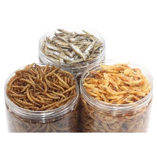 面包虫干金龙鱼银龙鱼红龙鱼食饲料地图鱼黄粉虫干虾干小鱼干鱼粮