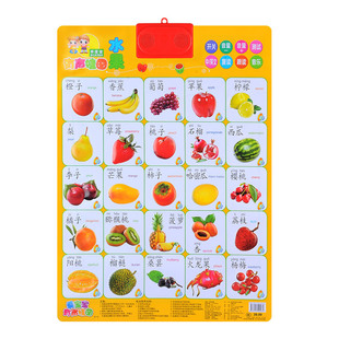 有声挂图儿童早教幼儿启蒙认知点读发声家庭人物称呼称谓职业挂画