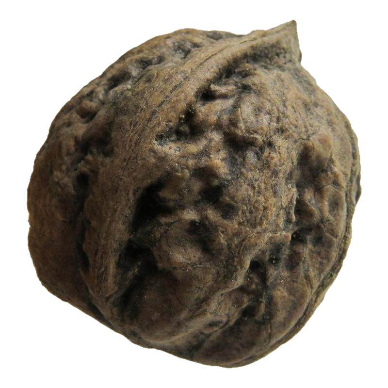 整个胡桃500克药用正品1个也包邮
