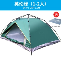 Британская зеленая поставка