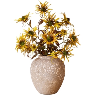 掬涵刺芹仿真花艺术干花长枝客厅餐桌过年插花摆设软装韩式欧美