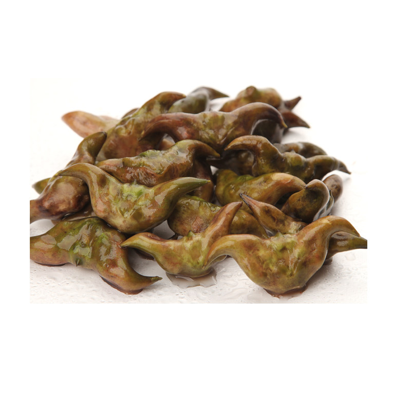 湖北新鲜老菱角新鲜菱角黑色菱角菱角