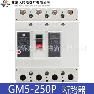 250AY2B 北京人民GM5 200A Y1D DC1000V光伏直流塑壳断路器 250P