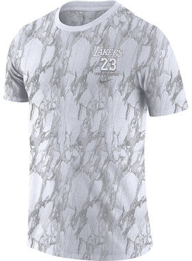 Nike/耐克正品DRY LEBRON JAMES 23号男子运动短袖CT3972-100