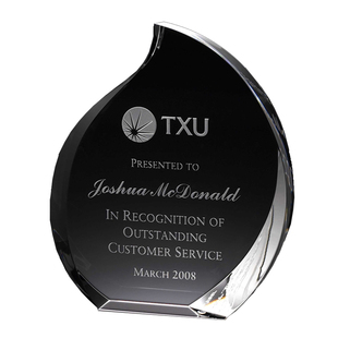 东南 水晶桃形火焰造型授权加盟奖牌证书奖杯定制定做直销promise