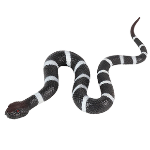 林畅模玩儿童软胶蛇玩具银环蛇模型白带蛇白节蛇仿真爬行动物套装