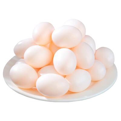 新鲜鸽子蛋30枚破损坏蛋包赔包邮