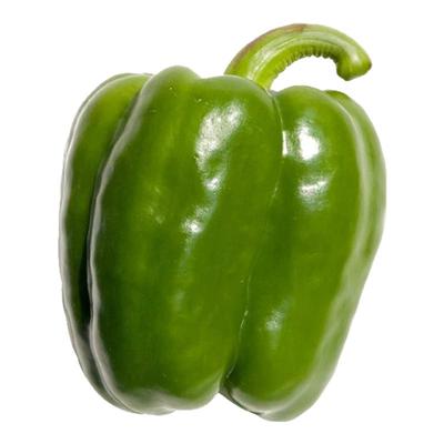 高产圆椒菜椒苗辣椒苗秧苗青椒太空椒方椒种籽灯笼椒秧子阳台菜苗