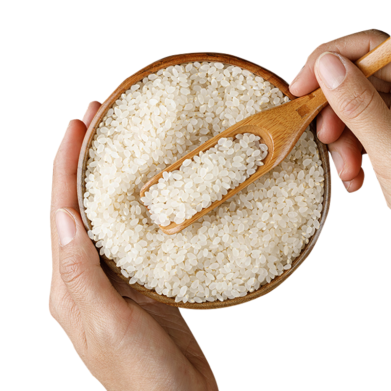 2025胚芽米新米大米东北粳米粥送宝宝婴儿婴幼儿辅食谱阿八伊官方