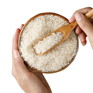 2025胚芽米新米大米东北粳米粥送宝宝婴儿婴幼儿辅食谱阿八伊官方