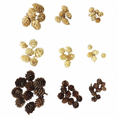 迷你漂白松果小落叶松拍摄道具浮游香水瓶香薰蜡烛片diy干花材料