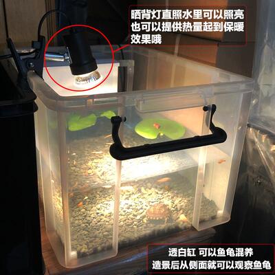 乌龟黑白发色盒佛鳄龟剃刀虎纹青鳉蛋龟专用缸鱼缸过滤龟盆饲养箱