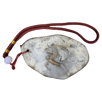 古生物礼品手把件三叶虫化石包邮