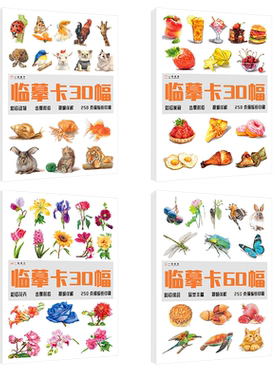官方正版临摹花卉动物美食综合