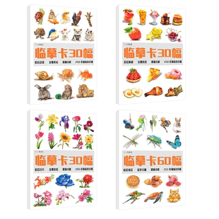 彩铅临摹卡花卉篇+动物篇+美食篇+综合篇四册 一线美誉步骤对应视频教学美术绘画卡片兴趣高清原创彩铅美术临摹学习卡片