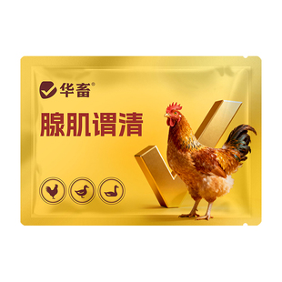 华畜鸡腺肌胃炎专用药鸡拉稀拉白便胃肠炎过料水便腺肌胃清腺胃康