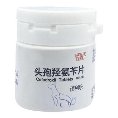 头孢羟氨苄片宠物狗狗猫咪用消炎