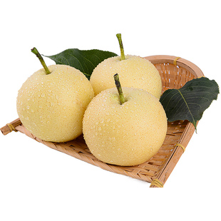河北皇冠梨新鲜梨子9斤整箱包邮当季水果现摘砀山雪梨脆甜