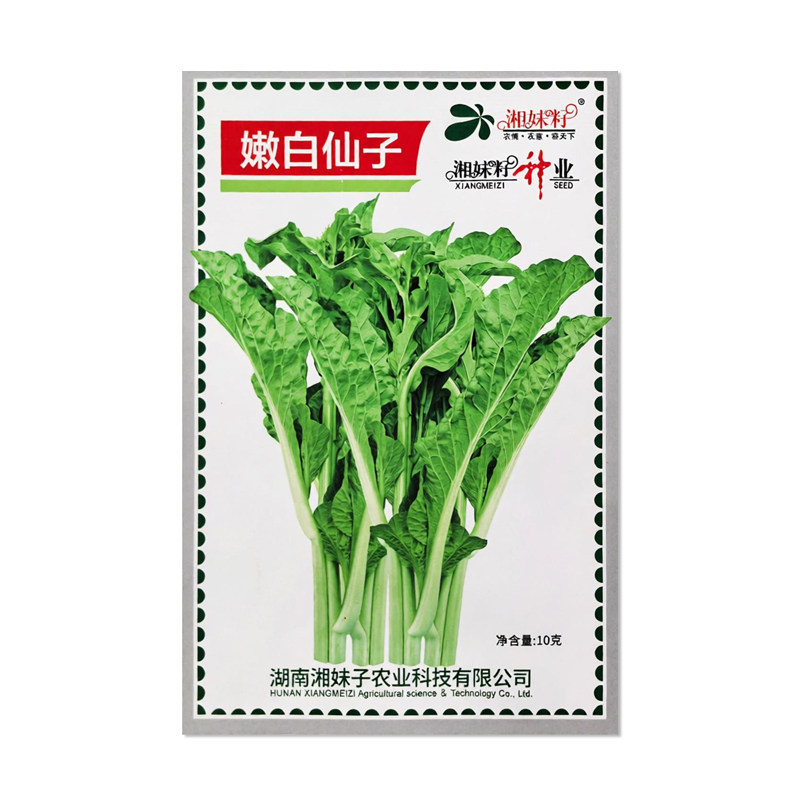 湘妹籽嫩白仙子白菜苔种子