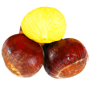 新鲜现摘丹东板栗当季整箱农家嫩板栗子带壳锥去油生板栗毛栗包邮