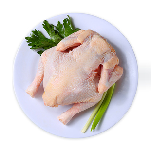 新鲜冷冻农家散养童子鸡整只商用炸鸡烤鸡胚西装鸡手撕鸡顺丰包邮