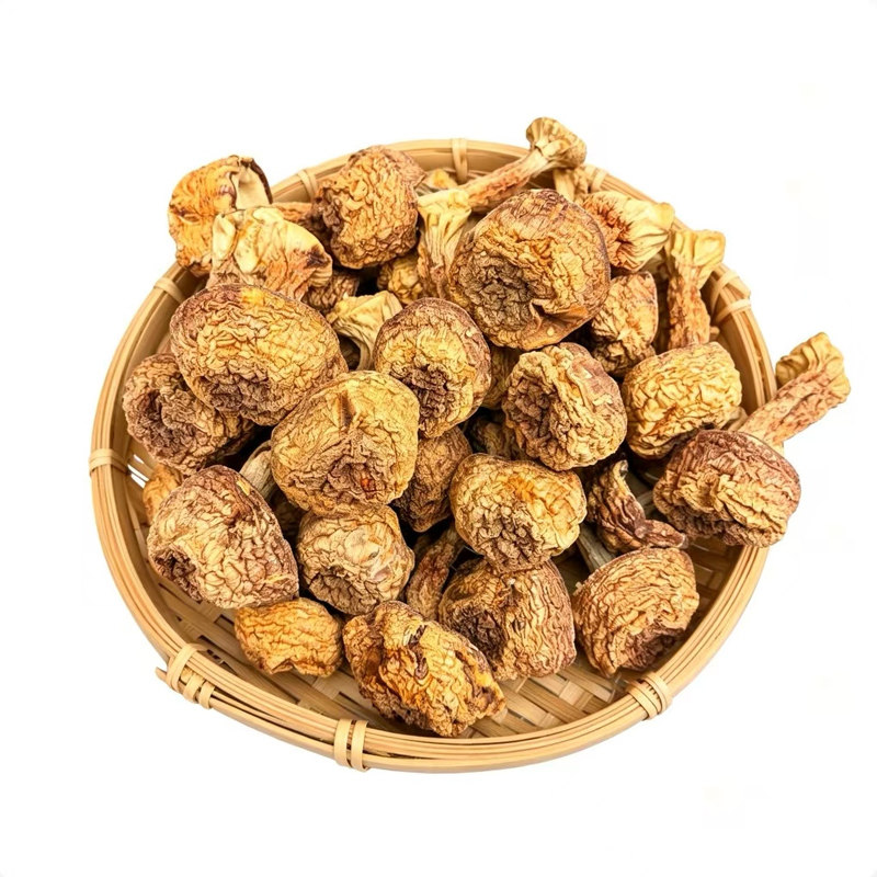 云南本色姬松茸官方旗舰店无硫巴西蘑菇干货食用野生菌菇小腿松茸