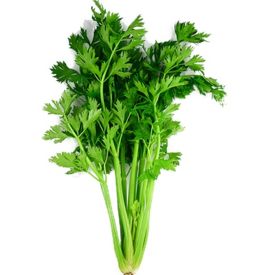 有机汇有机西芹无农残新鲜发货