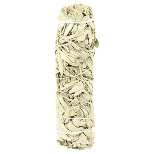 美国加州进口白鼠尾草叶子大捆烟熏天然鼠尾草香薰空间支架贝壳