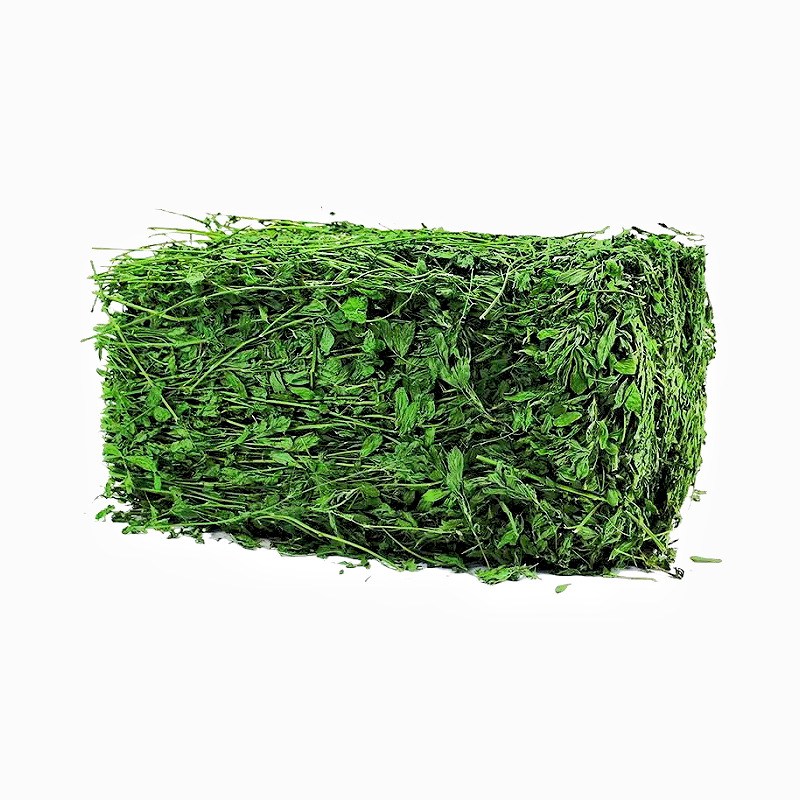 26年新紫花苜蓿草干草叶多杆细