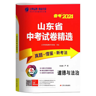 2026年山东中考模拟试卷山东省16十七地市中考题真题卷全套人教版初三九年级复习资料2025春雨中考试题精选数学物理化学语文英语