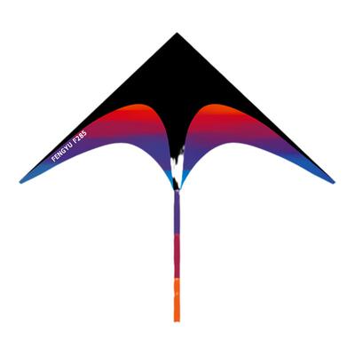 逐风中大型风筝2025新款