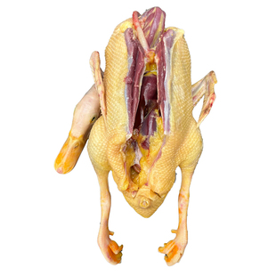 正宗农家散养青头鸭土鸭老鸭子整只新鲜现杀水鸭麻鸭生鲜鸭肉公鸭