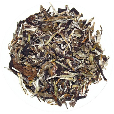 福鼎白茶08年春茶正宗散装老白茶