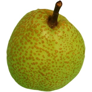 正宗莱阳梨新鲜烟台特产茌梨礼品团购礼盒装带箱10斤山东莱阳慈梨