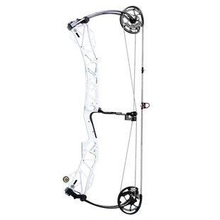 AGS射手穿羽复合弓新款射准两用弓成年人专用高精度射击运动滑轮