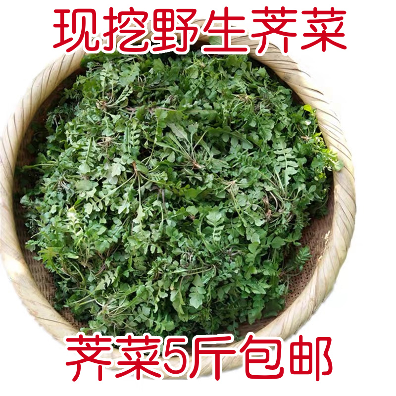 陕西秦岭野生荠菜现挖新鲜野菜包邮荠荠菜地菜地丁3斤5斤混沌饺子