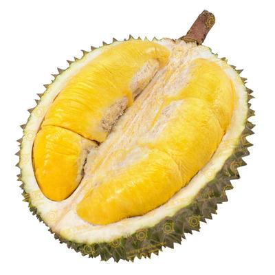 马来西亚当季新果进口