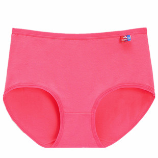 5条装大码纯棉女士内裤女胖MM中高腰收腹纯色中腰抗菌三角短裤头