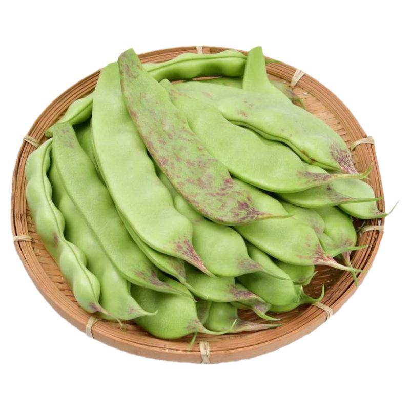 东北油豆角现摘新鲜一点红九月青新鲜豆类