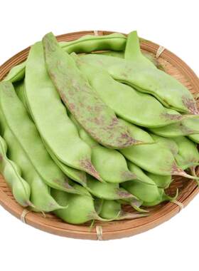东北油豆角现摘新鲜一点红九月青扁豆开锅烂面豆农家蔬菜当季包邮