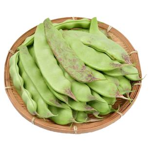 东北油豆角现摘新鲜一点红九月青扁豆开锅烂面豆农家蔬菜当季包邮