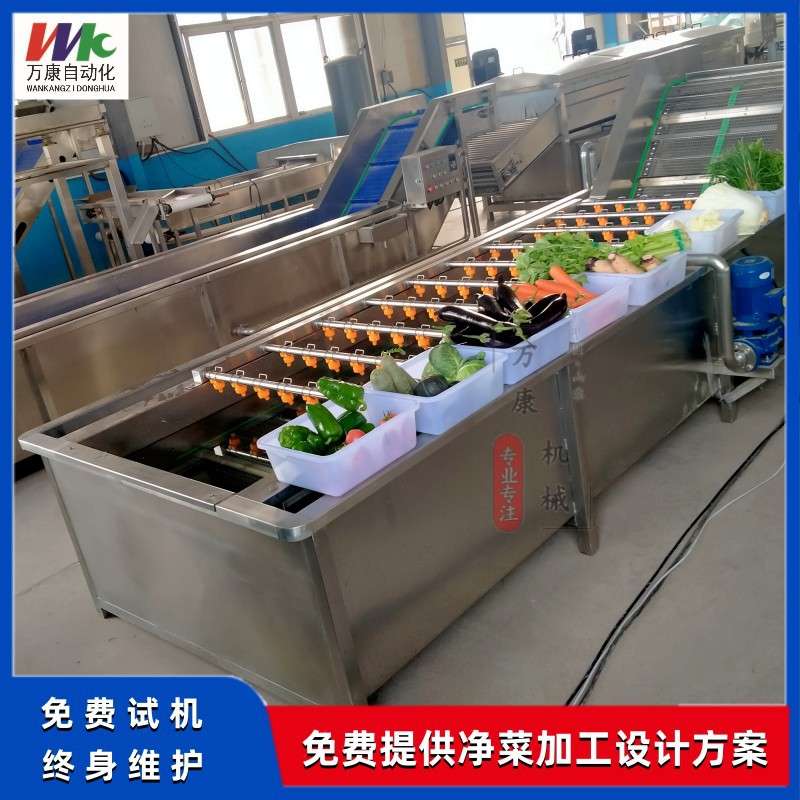 蕨菜气泡清洗机加工设备山野菜喷淋清洗机价格香椿刺老芽清洗机