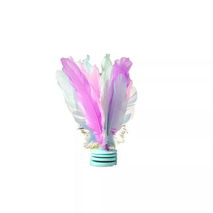 彩色毽子儿童小学生运动专用成人键子踢毽子毽球比赛专用健腱踺子