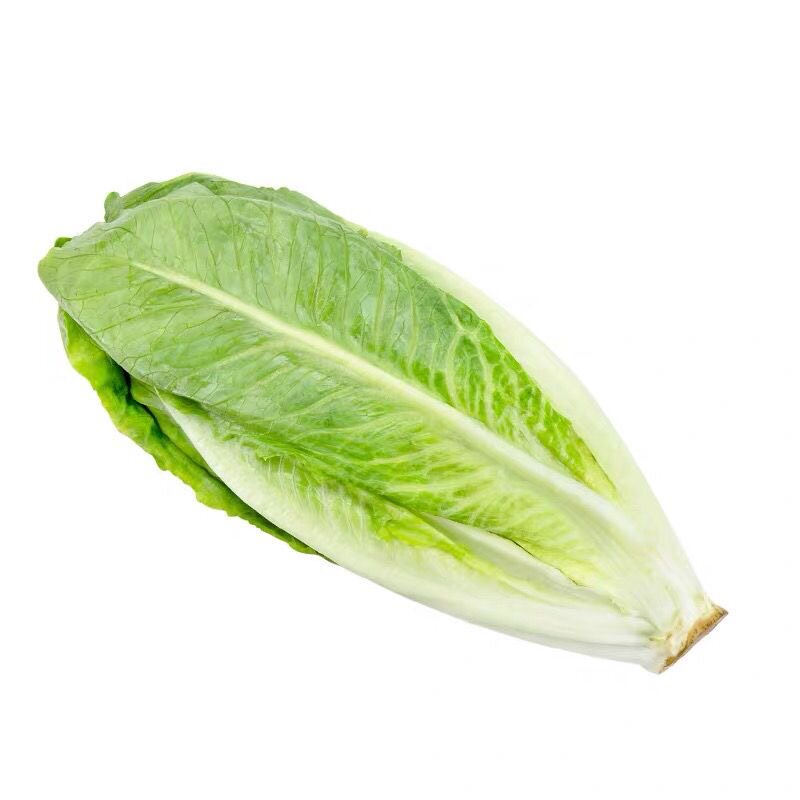 新鲜包罗生菜包心罗马罗纹凯撒包心西餐蔬菜沙拉生菜绿色500g