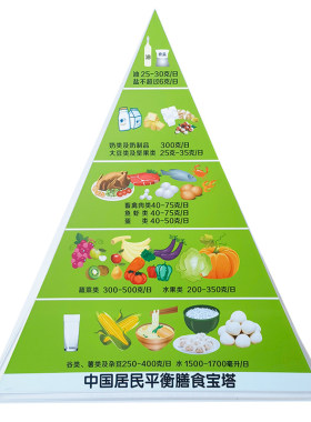 新版食物交换模型营养指导模型