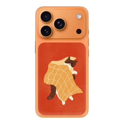 SkinAT 苹果手机痛贴 手机背面卡片贴膜 适用 iPhone 17 Pro /17 Pro Max 背板贴 拼图系列